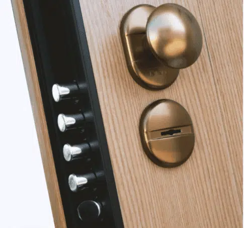 cerradura-de-gorjas-en-puerta-acorazada-dierre Cerradura de Borjas en puerta